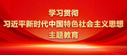 农村尻逼大全学习贯彻习近平新时代中国特色社会主义思想主题教育_fororder_ad-371X160(2)